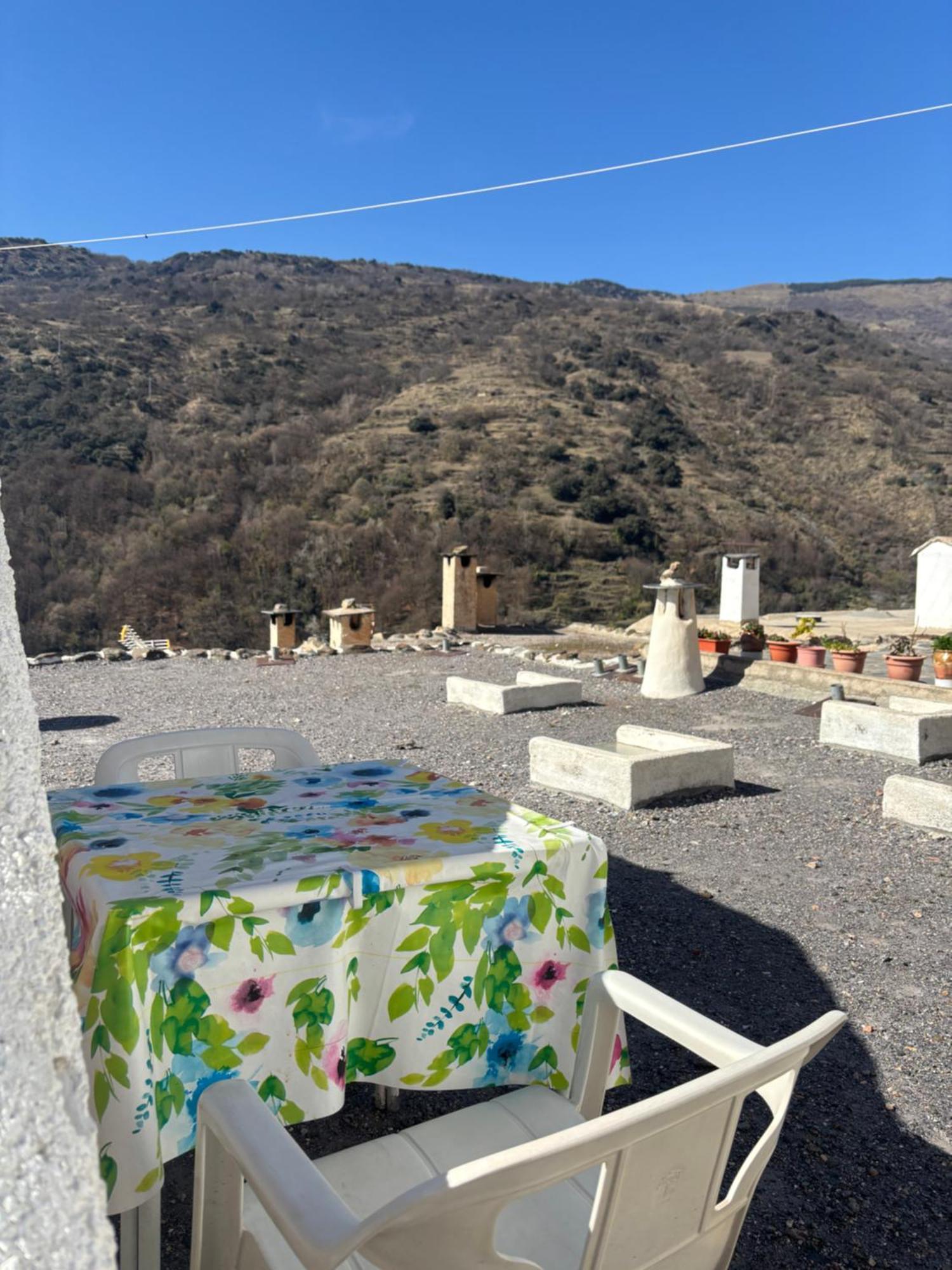 Casita Paloma